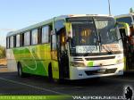 Busscar El Buss 320 - Marcopolo Andare / Mercedes Benz OF-1722 & OF-1721 / Ecobus