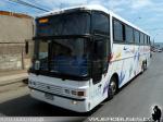 Busscar Jum Buss 380 / Scania K113 / TSA Transporte