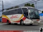 Neobus New Road N10 360 / Mercedes Benz OF-1724 / Asec Buses