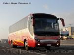 Zhong Tong LCK6107H / Buses Thiele