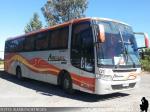 Unidades Busscar / Mercedes Benz / Asec Buses
