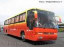 Busscar El Buss 340 / Scania K113 / Transporte Privado
