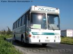 Metalpar Petrohue / Mercedes Benz OH 1420 / Buses Nuñez