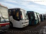 Flota de Buses Varias Empresas Al Servicio CMPC LAJA