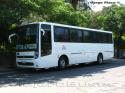 Busscar Interbuss / Mercedes Benz OF1722 / Ecobus