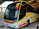 Neobus New Road N10 380 / Scania K400 / Buses Jordan