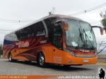 Neobus New Road N10 360 / Scania K360 / Buses El Mañio