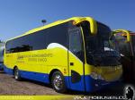 King Long XMQ6900 / Buses Gonzalez para I.M. Vitacura