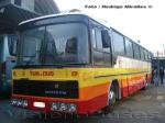 Nielson Diplomata 200 / Scania BR116 / Tur-Bus