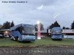 Buses Higer / Unidades de Stock (Expo Sofo Temuco)