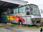 Kassbohrer Setra S215HD / Buses Arzola