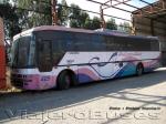 Busscar Jum Buss 340T / Volvo B10M / Pullman Bus