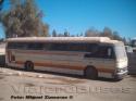 Ciferal Dinossauro / Scania BR115 / Buses Zumaran