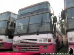 Busscar Jum Buss 380 / Volvo B10M - Scania K113 / Pullman Bus