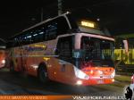 Zhong Tong LCK6137 / Pullman Bus