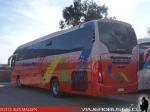 Mascarello Roma 350 / MAN 19.400 / Pullman Bus