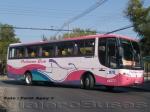 Busscar El Buss 340 / Mercedes Benz OH-1628 / Pullman Bus