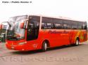 Busscar Vissta Buss LO / Volvo B10R / Pullman Bus Lago Peñuelas