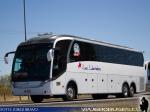 Neobus New Road N10 380 / Scania K400 / Pullman Los Libertadores