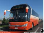 Yutong ZK6136 / Pullman Bus