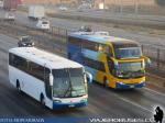 Busscar Vissta Buss LO - Comil Campione DD / Scania K124IB - Volvo B11R / Buses Golondrina - CVU