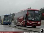 Comil Campione 3.45 / Mercedes Benz O-500RS / Transaustral Bus