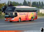 Zhong Tong Navigator LCK6137H / Pullman Bus