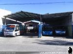 Buses Castañeda / Ovalle - IV Región