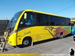 Neobus Thunder + / Mercedes Benz LO-916 / Buses Castañeda