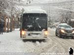 Hyundai Universe / Buses Suray