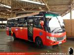 Zhong Tong Triumph / Pullman Bus Curacavi