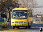 Inrecar Escorpion / Hyundai / Buses El Solitario