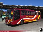 Busscar El Buss 340 / Mercedes Benz OH-1628 / San Sebastian