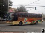 Busscar Vissta Buss LO / Mercedes Benz OH-1628 / Buses TLP