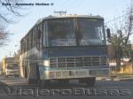 Nielson Diplomata 310 / Mercedes Benz OF-1115 / Buses Montecinos