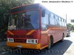 Ciferal Padron Rio / Mercedes Benz OF-1115 / Buses LMS