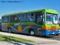 Metalpar Petrohue / Mercedes Benz OF-1318 / Tongoy Bus