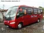 Marcopolo Senior - Busscar Micruss / Mercedes Benz LO-915 & LO-914 / Via Itata