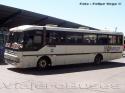 Busscar El Buss 320 / Mercedes Benz OF-1318 / Interbus - Bonanza
