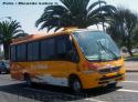 Marcopolo Senior / Mercedes Benz LO-915 / Buses Pallauta