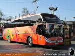 Zhong Tong LCK 6137 / Chilebus