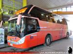 Zhong Tong LCK6137 / Chilebus
