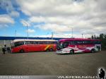 Pullman Austral - Bus Sur / Región de Magallanes