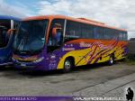 Comil Campione 3.45 / Mercedes Benz OF-1724 / Buses Barria