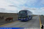 Neobus New Road N10 380 / Scania K400 / Bus-Sur