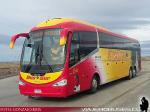 Irizar I6 3.90 / Scania K360 / Bus Sur