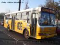 Bus Tango / Mercedes Benz OHL-1320 / Linea 806