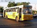 Bus Tango / Mercedes Benz OHL-1320 / Linea 805