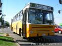 Jotave City Bus / Mercedes Benz OF-1318 / Linea 809
