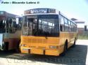Dimex 654-210 / Navistar / Linea 303